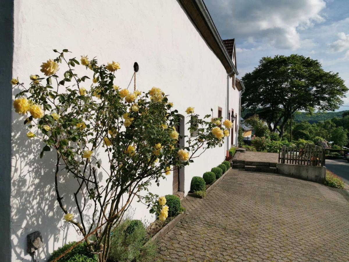 Ferienhaus Vulkaneifel Landhaus Loogh Kerpen (Rhineland-Palatinate) Exterior foto