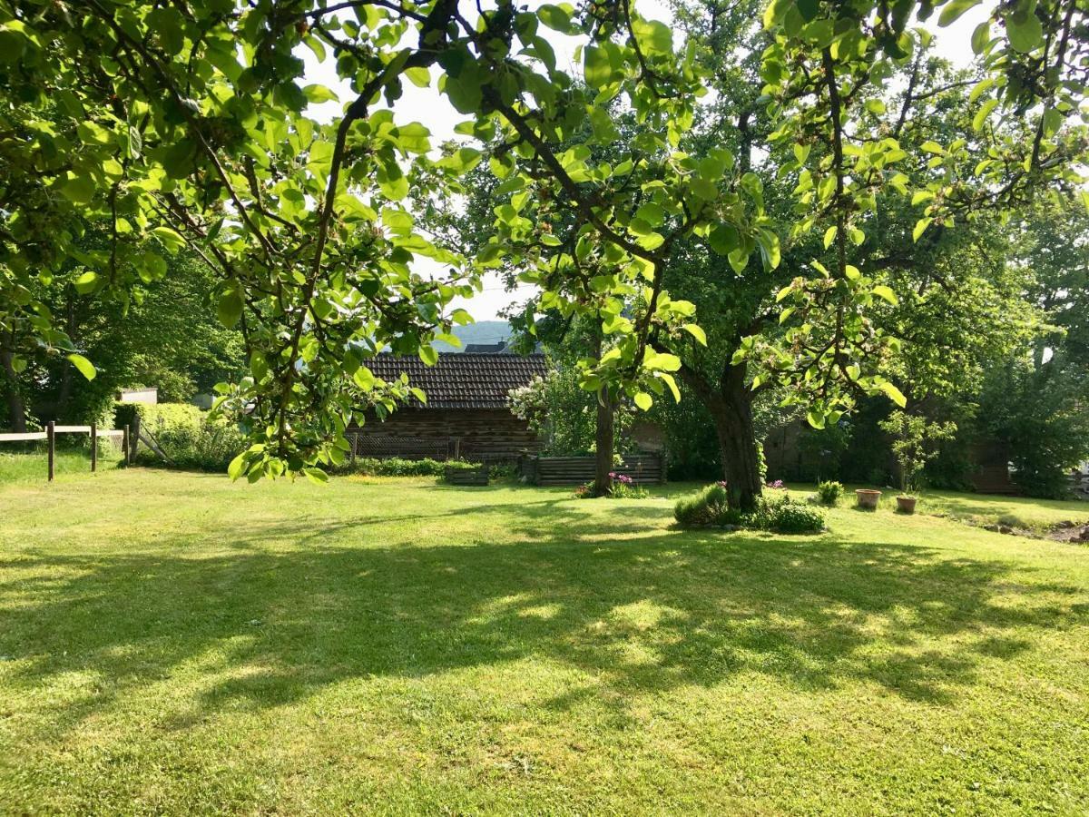 Ferienhaus Vulkaneifel Landhaus Loogh Kerpen (Rhineland-Palatinate) Exterior foto